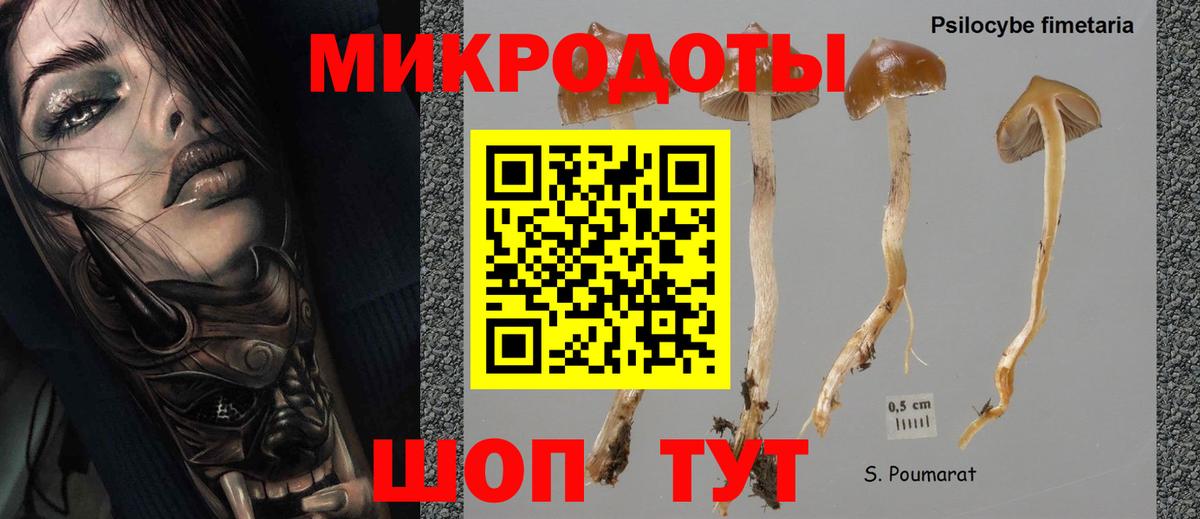 Галлюциногенные грибы Psilocybine cubensis Раменское